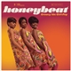 Various - Honeybeat: Groovy 60s Girl-Pop