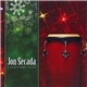 Jon Secada - A Christmas Fiesta