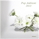 Various - Pop Ambient 2013