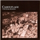 Camouflage - Voices & Images